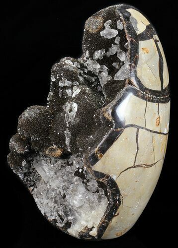 Polished Septarian Geode Sculpture - Black Crystals #55012
